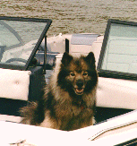 [Kilroy on our boat]