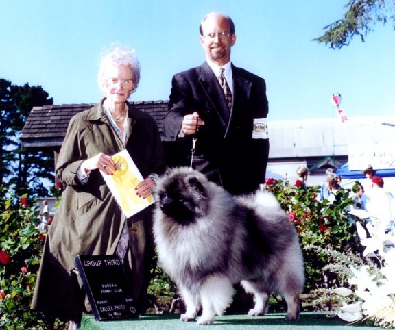 [Picture of Dreamer]