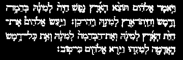 HEBREW TEXT OF GENESIS 1: 
24-31
