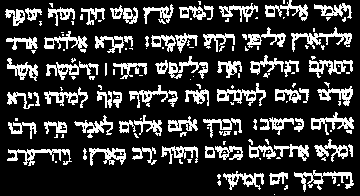 HEBREW TEXT OF GENESIS 1: 20-23