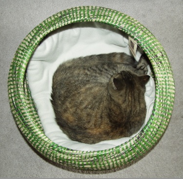 
2012 May 02 Molly the cat in a grass basket.  Molly curls up on the white blanket in her grass woven basket for deep sleep.  She gets bothered by gentle petting there.  She lifts her head and when the stroking goes from her nose up to her eyes for a while, she sighs and puts her head down for more deep sleep.
