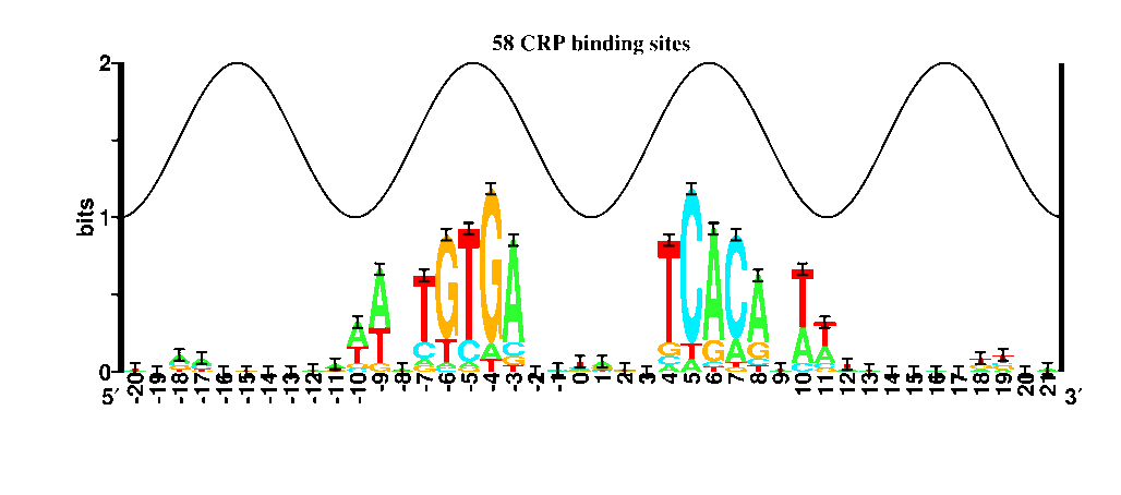 Two sequence logos alternating about once a second.  One
is for 16 FNA binding sites and the other is for 58 CRP
binding sites.  That the logos are similar can be seen by
the rapid comparison.