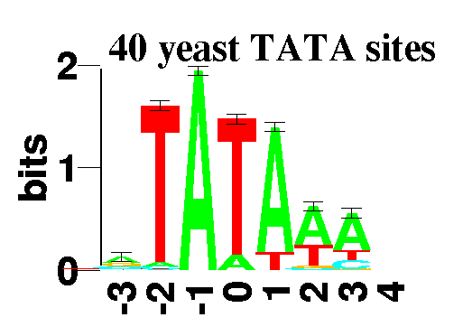 sequence logo of 40 yeast TATA sites