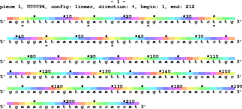 A lister map of the first 212 E.  coli DNA bases
(U00096) showing 6 lines of DNA sequence 5' to 3' along
with numbering every 10 bases with asterisk marks ever 5
bases.  Between the numbering and the sequence is a line of
color in which the spectrum colors repeat precisely every
10.6 bp.