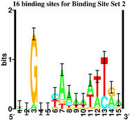 Sequence logo of 16 binding sites for Binding Site Set 2