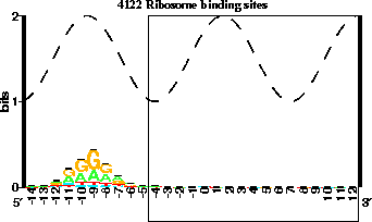 Rigid sequence logo of 4122 E.  coli Ribosome binding
sites showing the ATG region from 0 to 2 and the
Shine-Dalgarno from -12 to -7 as a small pile of G's on top
of A's.  The region -4 to +12 is boxed to indicate the part
that is removed during refinement and, indeed, there is no
information in the sequence logo there.