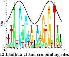 Lambda cI cro sequence logo with sine wave