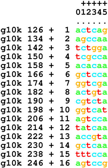 Aligned listing of 16 DNA sequences.