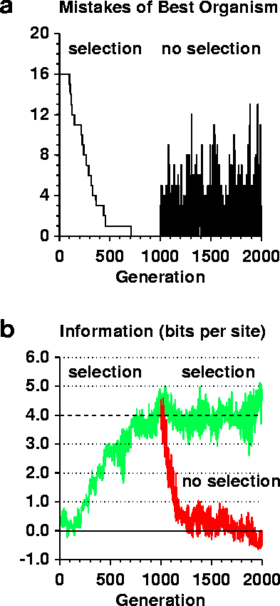 a, Number of mistakes made by the organism with the
fewest mistakes is plotted against the generation number.
b, The information content at binding sites (Rsequence) of
the organism making the fewest mistakesis plotted against
generation number.