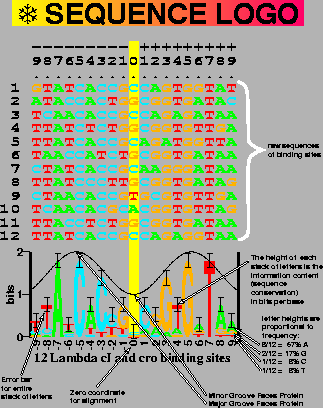 \begin{figure}% \vspace{15cm}
\special{psfile=''sequencelogo.ps'' hoffset=-20 voffset=-20
hscale=60 vscale=60 angle=0} \end{figure}