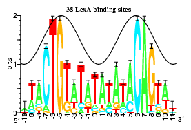 Sequence logo for 38 LexA binding sites on E.  coli DNA
covering the range from the 5' side at -10 to the 3' side
at 11.  The vertical scale is from 0 to 2 bits.  The logo
letters approximately follow a sine wave running from 1 to
2 bits with wavelength 10.6 bases because LexA binds into
two adjacent major grooves of the DNA.