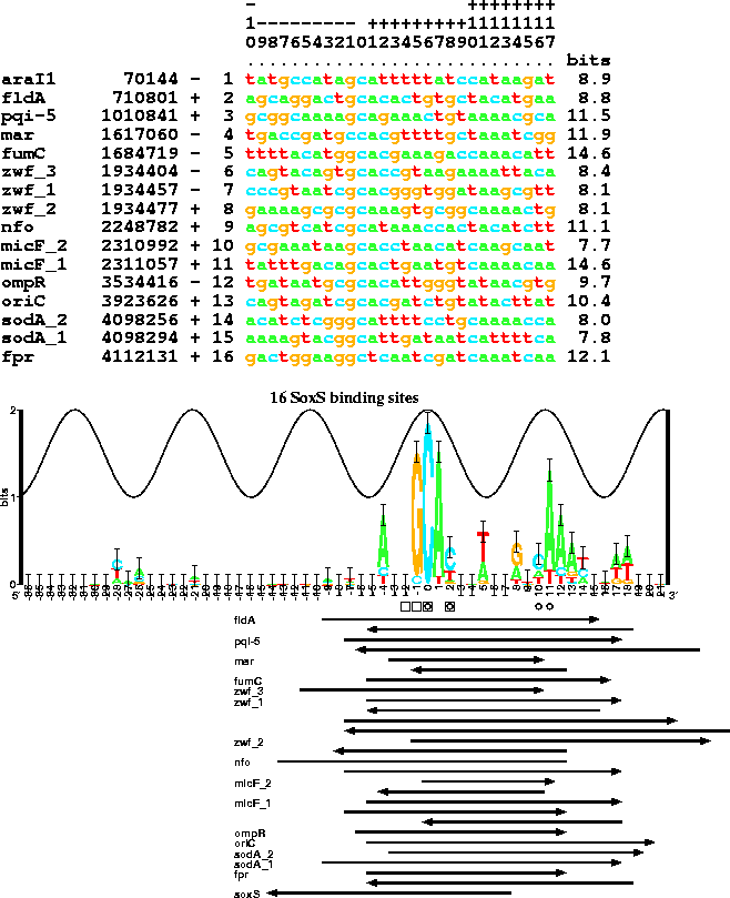 Aligned sequences for 16 SoxS binding sites with their
sequence logo and below thatthe footprinted regions.