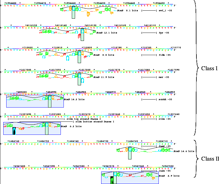 Individual information scan of SoxS model over sequences
used to create the model displayed as sequence walkers.