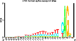 sequence logo of splice acceptor