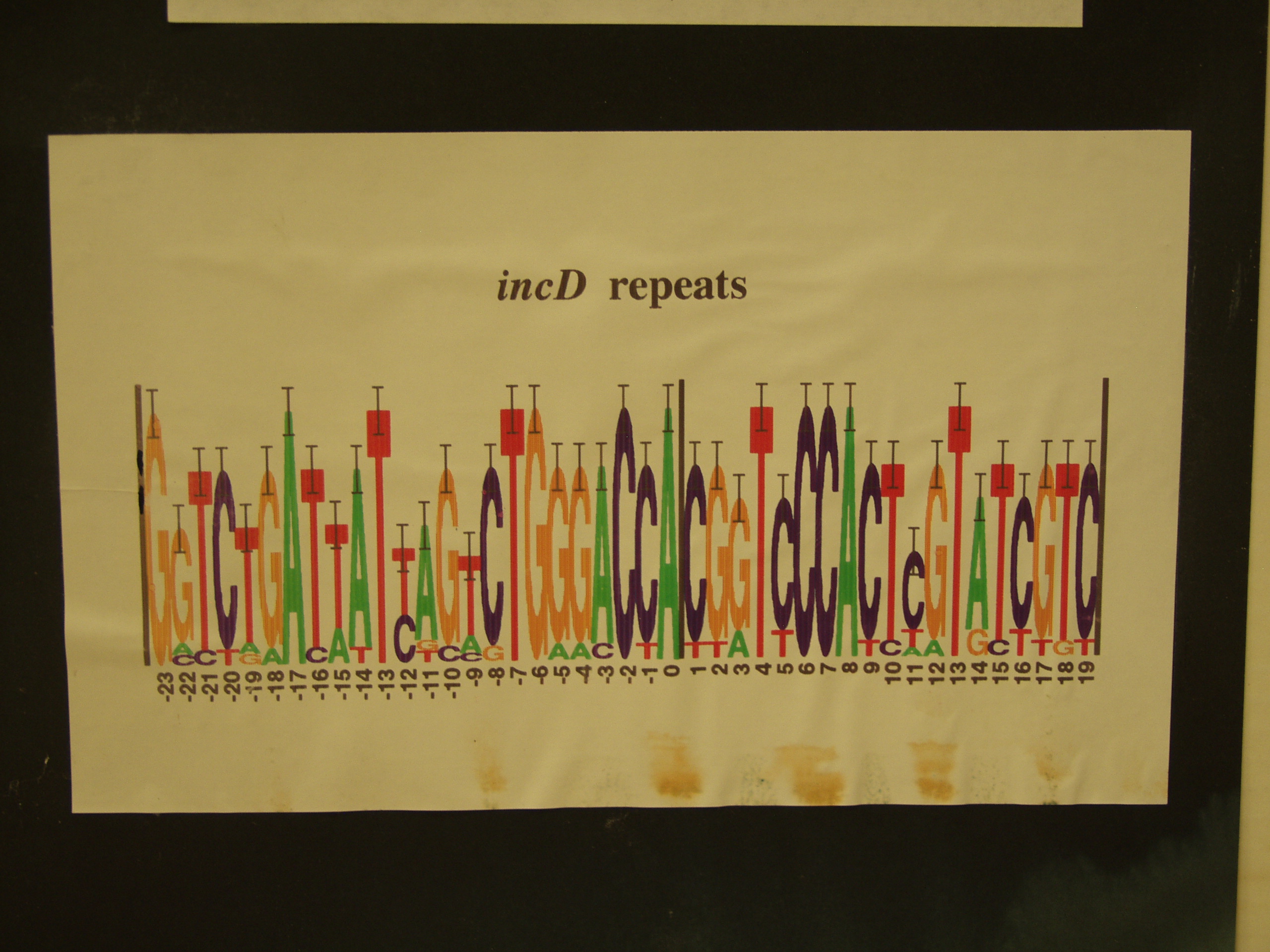 P8237781.JPG Photograph of Nathan Herman's 1991 science fair poster 'incD Conservation'