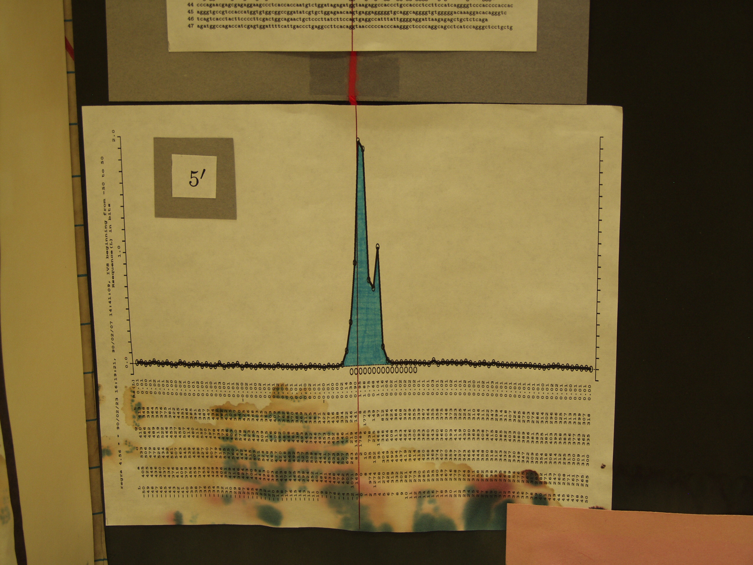 P8237796.JPG Photograph of Mike Stephen's 1990 science fair poster 'Information analysis of RNA splice sites'