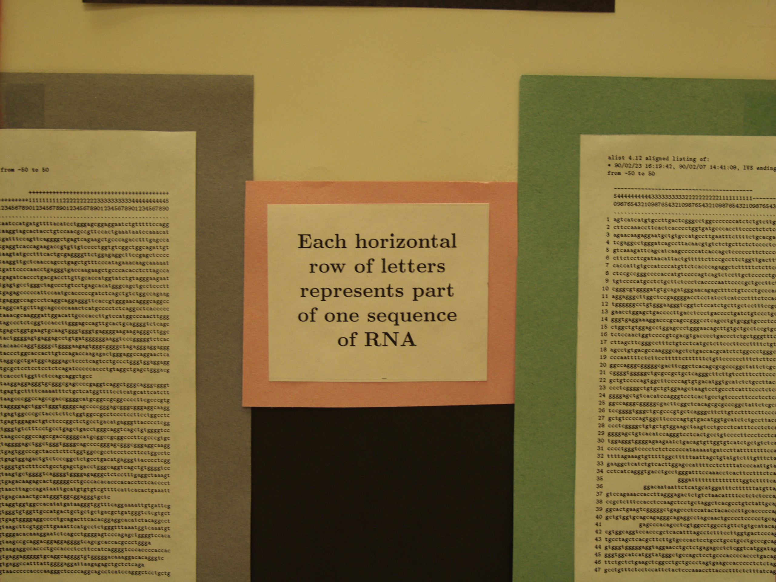 P8237799.JPG Photograph of Mike Stephen's 1990 science fair poster 'Information analysis of RNA splice sites'