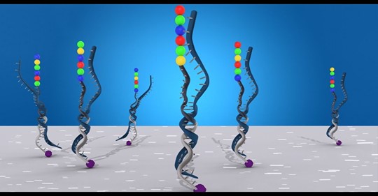 left handed DNA image