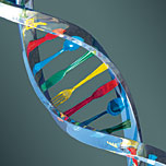 left handed DNA image
