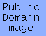 permission is public for image