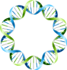 left handed DNA image for dnabarcodes2011 logo.png